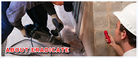 About Eradicate.com